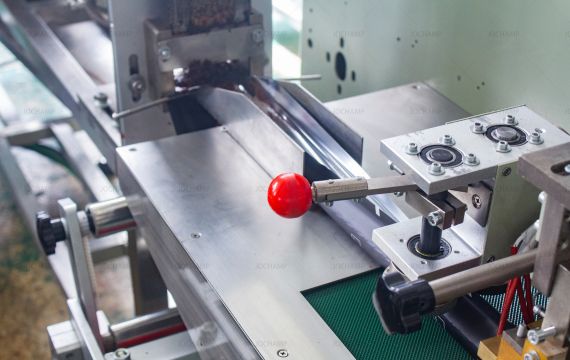 JCS 80 Shisha Tobacco Packing Line 4