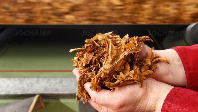Create The Perfect Shisha Tobacco Mix